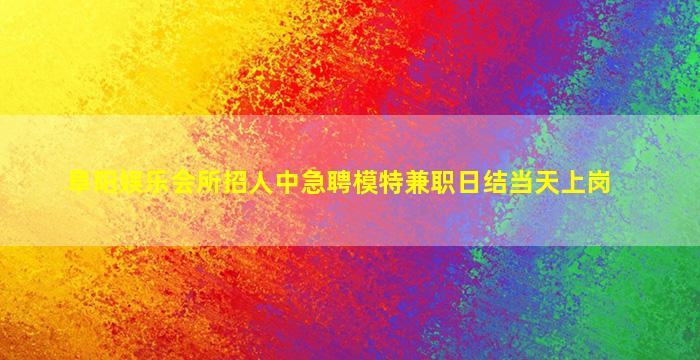 沈阳酒吧招聘